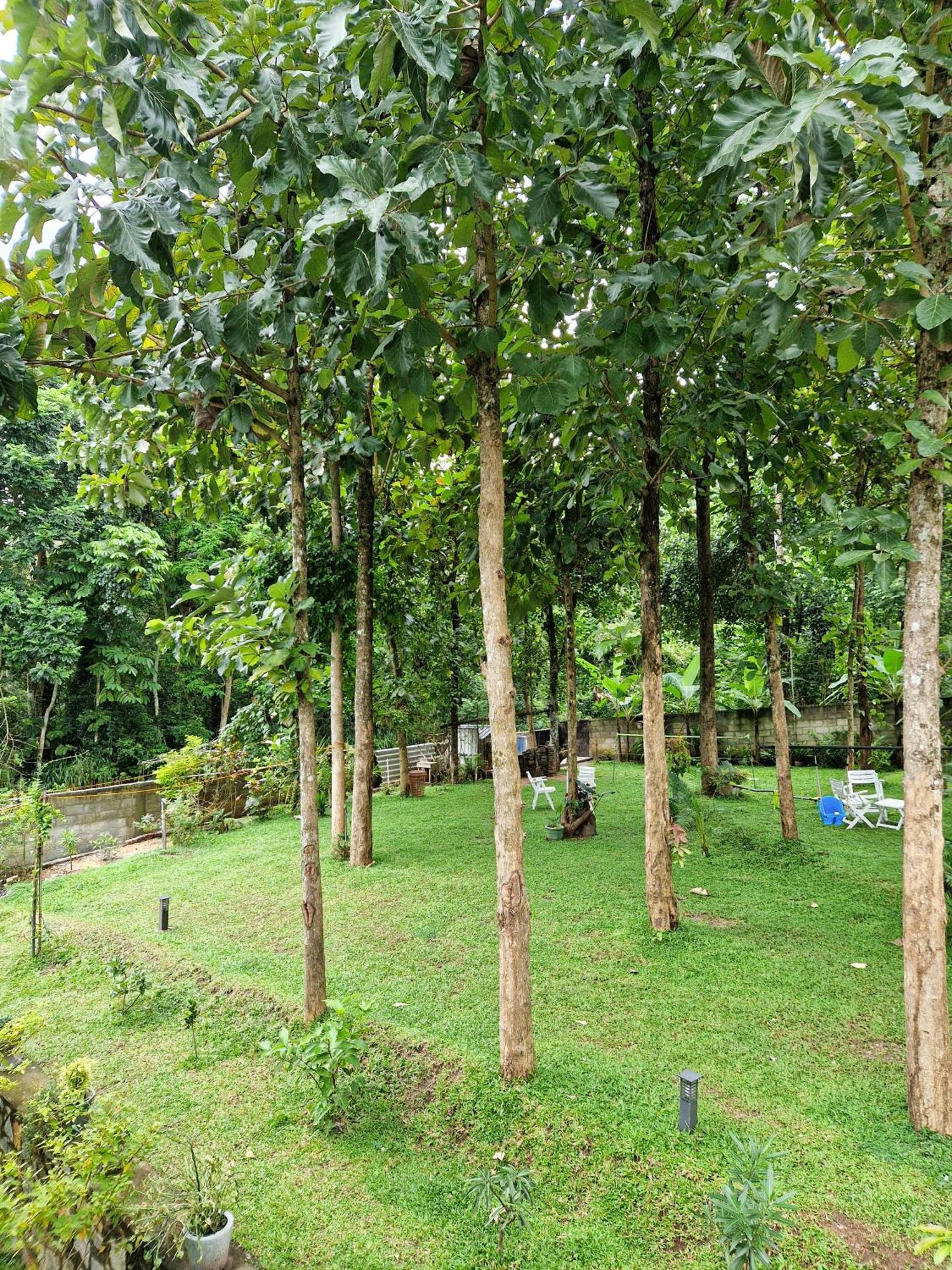 Villa Sole Kandy Luaran gambar