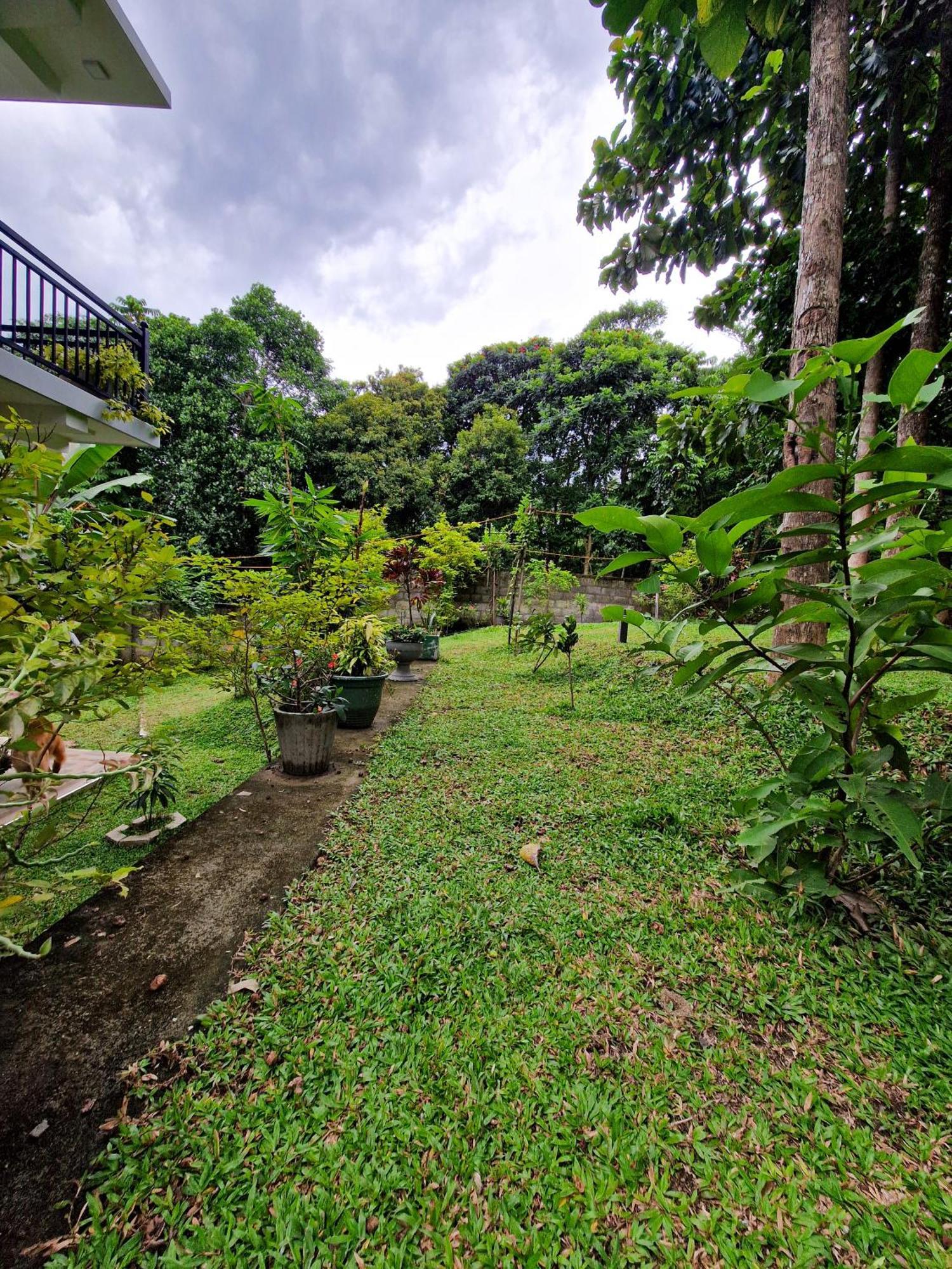 Villa Sole Kandy Luaran gambar