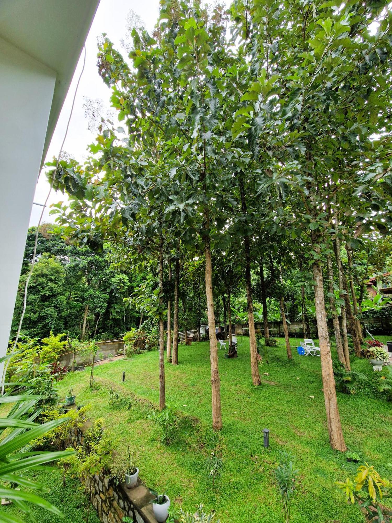 Villa Sole Kandy Luaran gambar